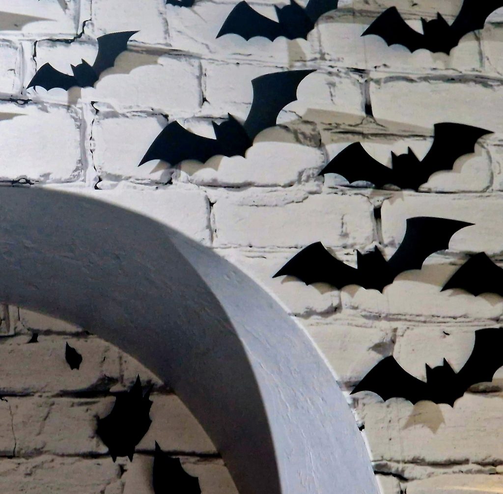Bats